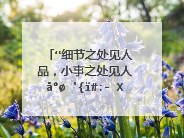 "细节之处见人品,小事之处见人心",这句话说的事什么意思?